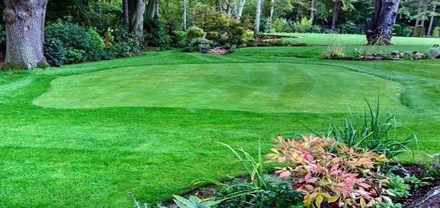 Monthly Garden Tips