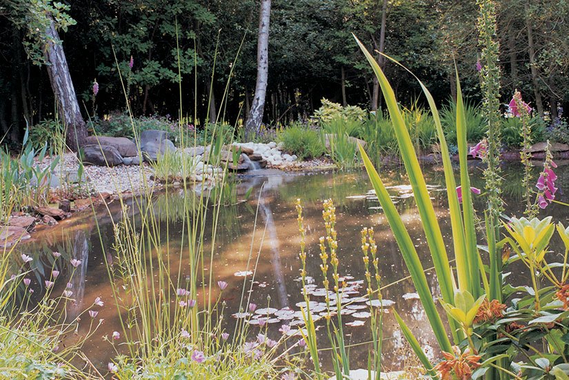 Rainwater Harvesting