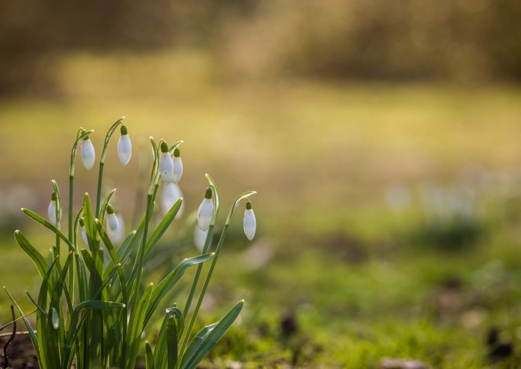 March brings new signs of life