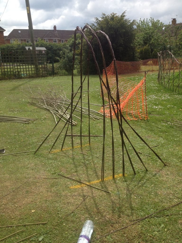 Rediscovering My Willow Mojo