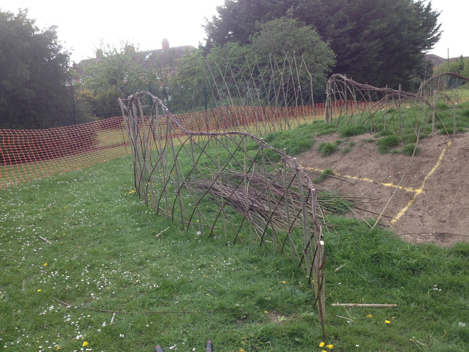Tying the Willow Tunnel