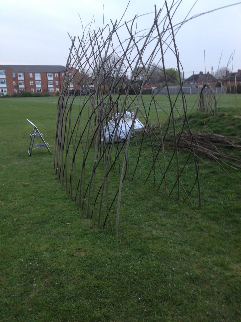 Badger & Mole’s Willow Tunnel Evolves