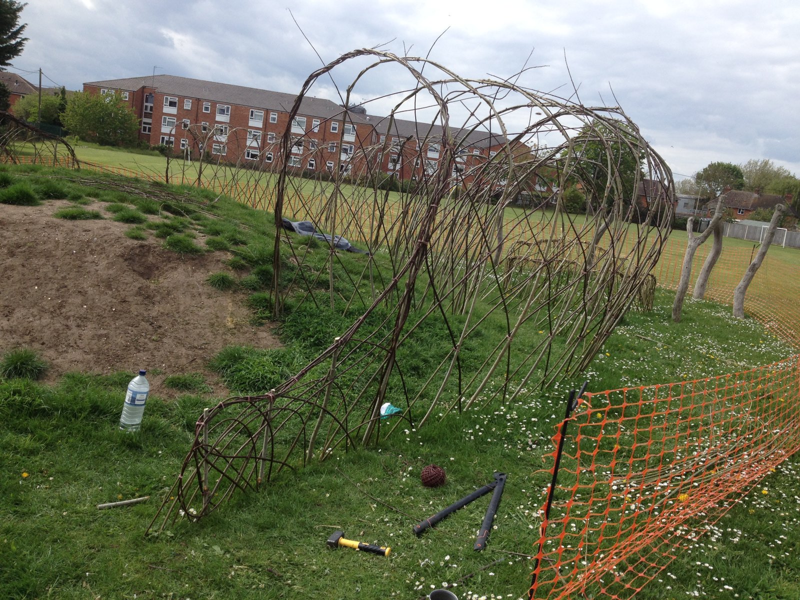 My Final Living Willow Blog