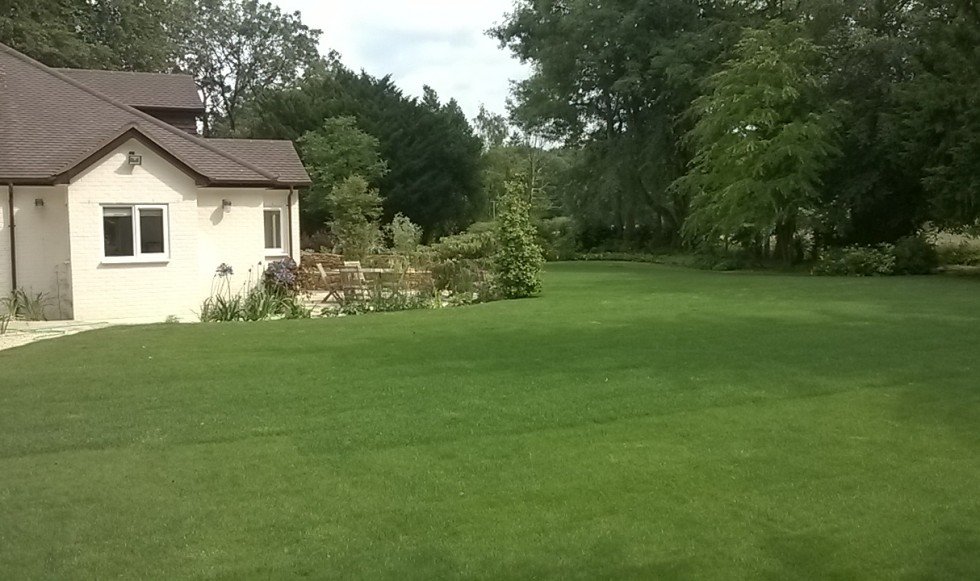 Woodland garden gets new lease of life