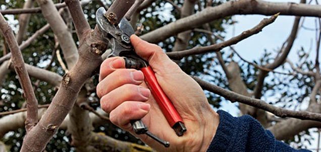 Pruning with confidence