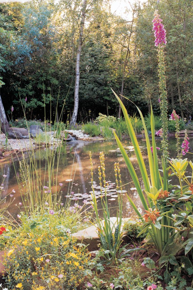A garden designed by GreenArt