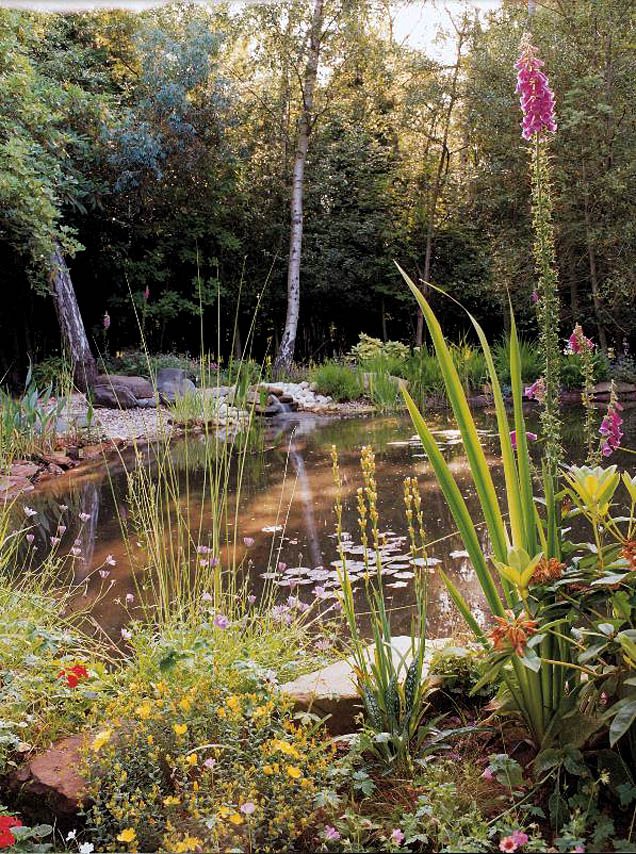 Water feature