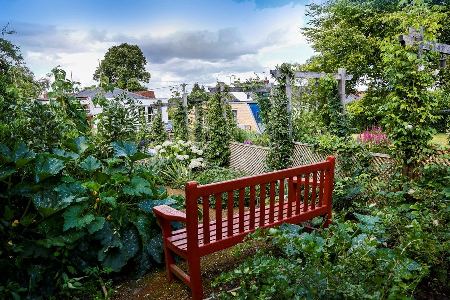 Gardening: How it can benefit us and the environment!