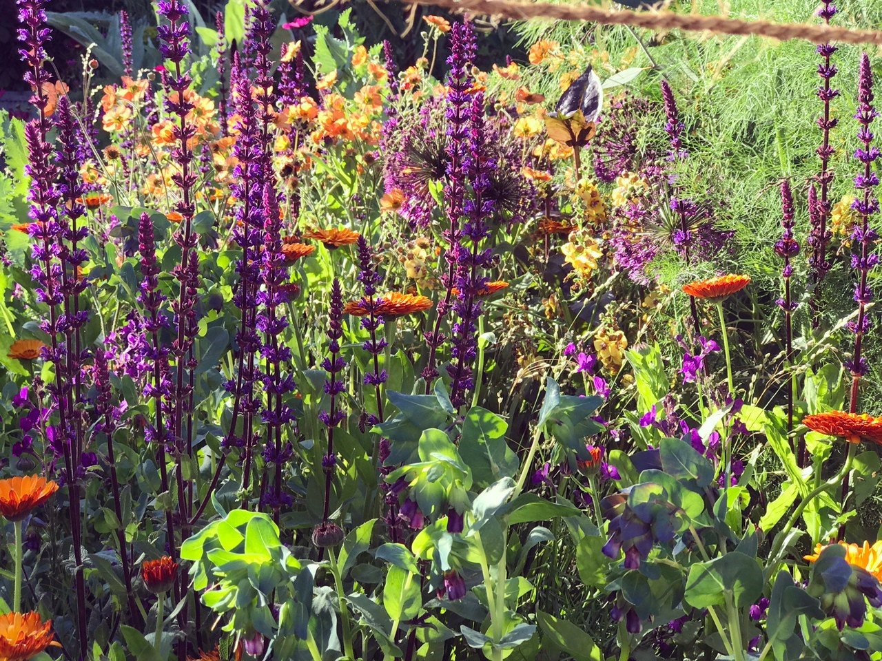 Chelsea Flower Show 2017