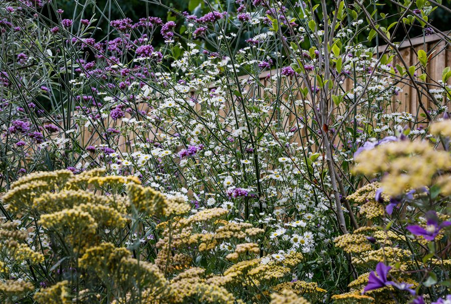 Going Wild About Flowers