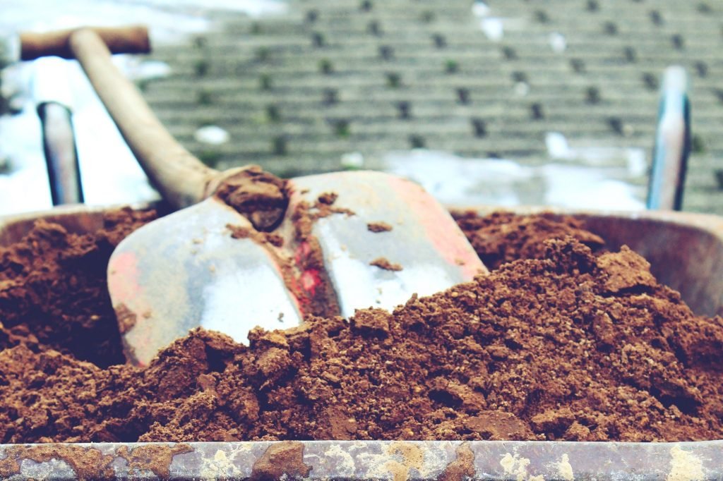 Why winter is a great time to make changes in your garden