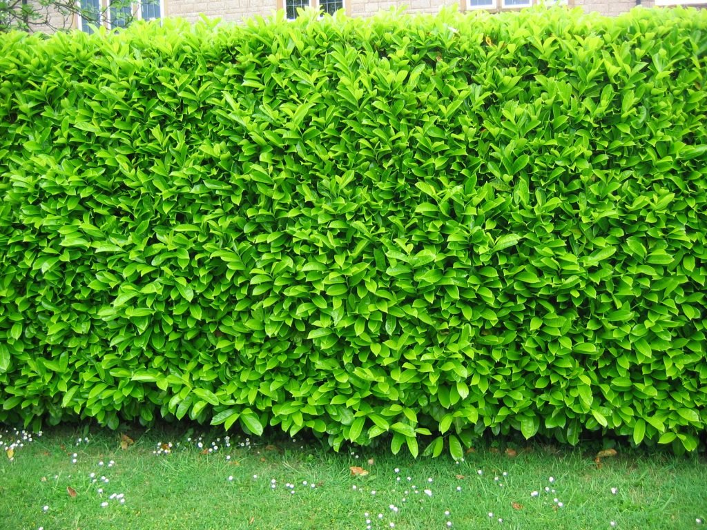 Hedging our bets