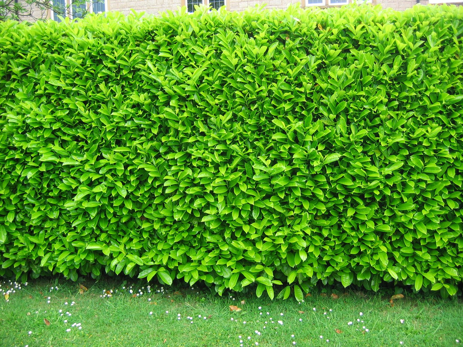 Hedging our bets