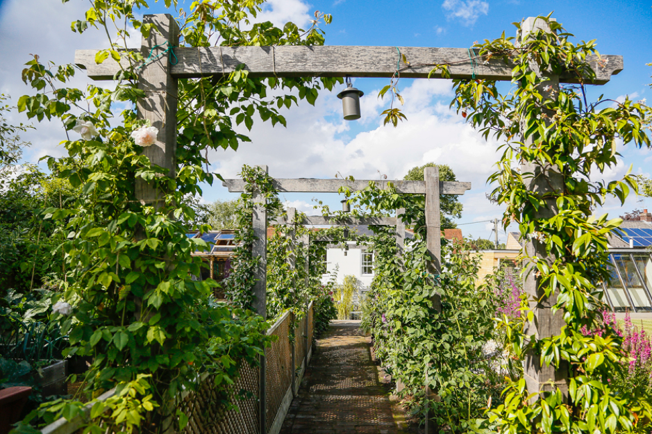Six seasonal jobs for the winter: prune, feed and plant!