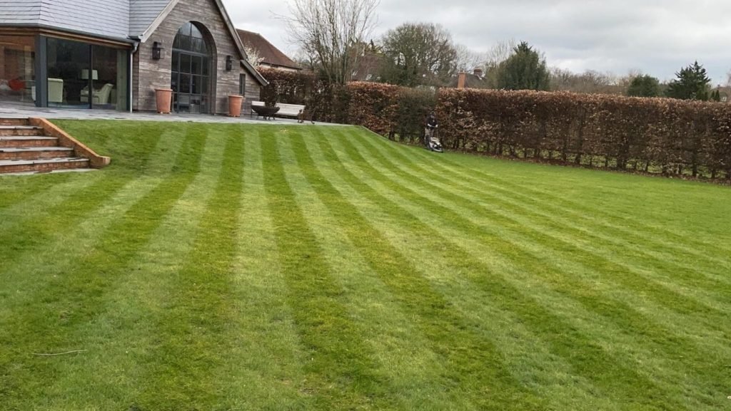 Lawn Care at GreenArt