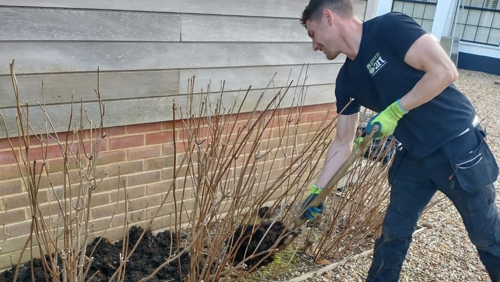 Spring Gardening Tips