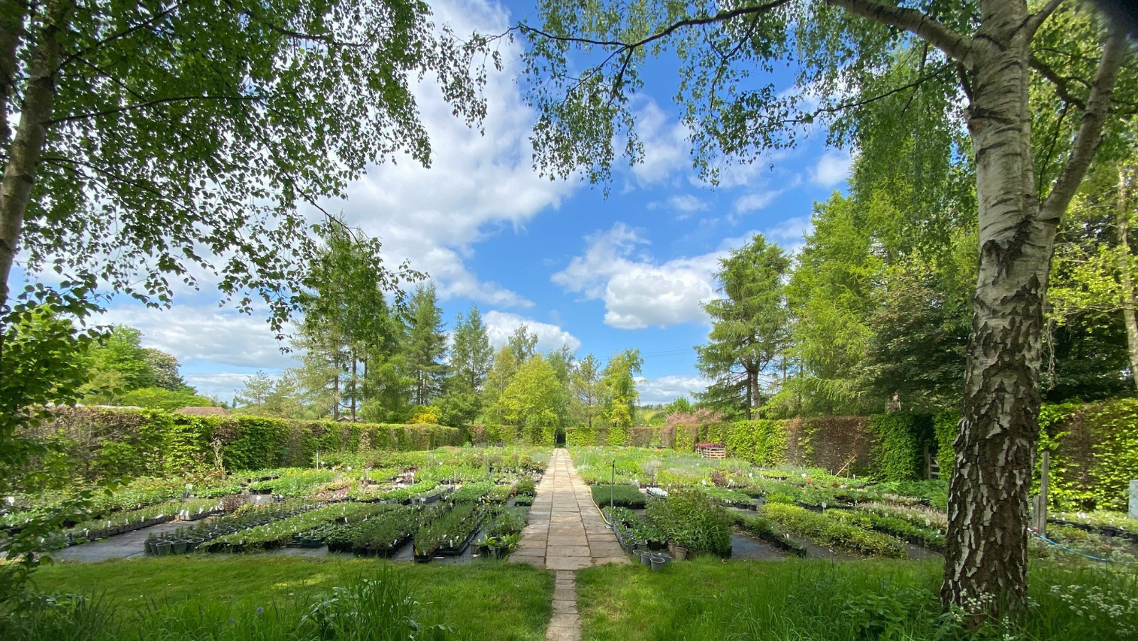 Babylon Nursery Garden Ideas