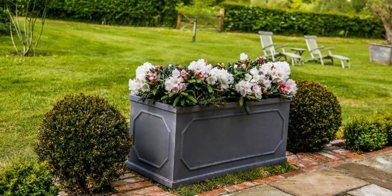 planter in garden with white flowers