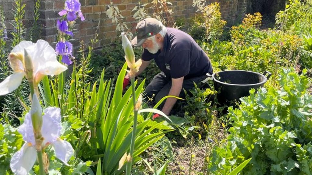 Keep Weeding – A summer garden maintenance tip.
