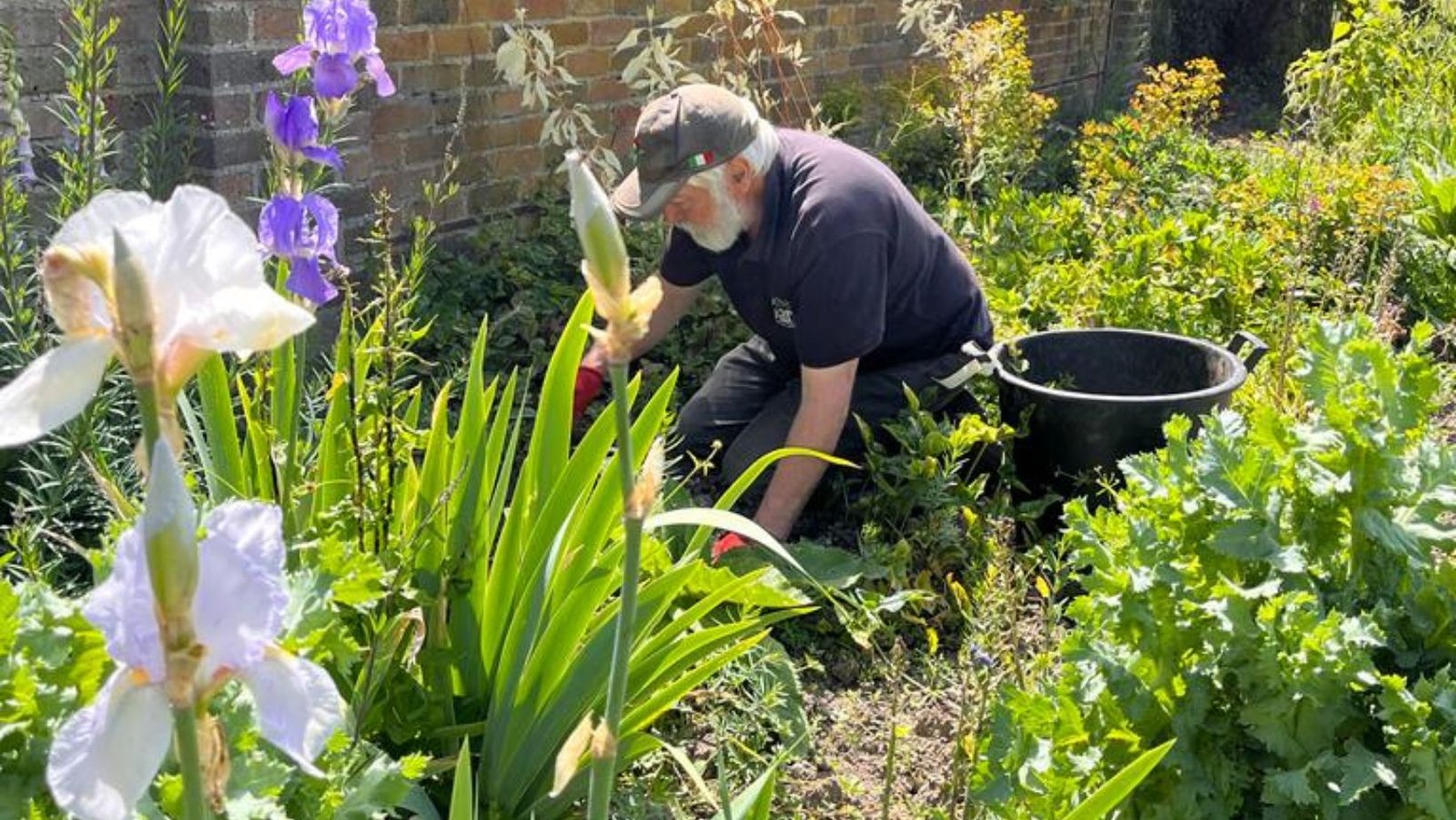 Keep Weeding – A summer garden maintenance tip.