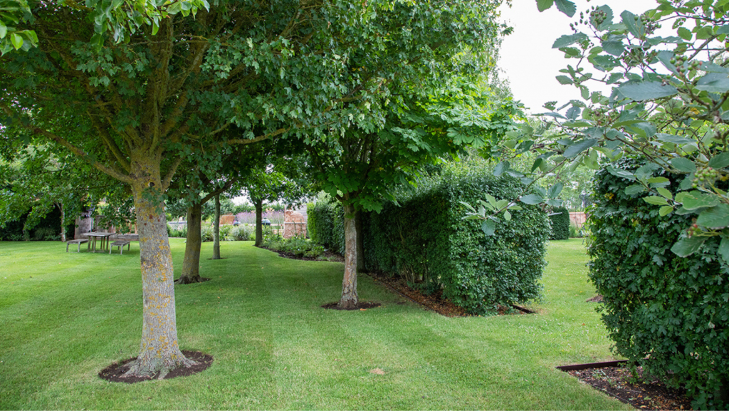GreenArt Garden Care & Maintenance