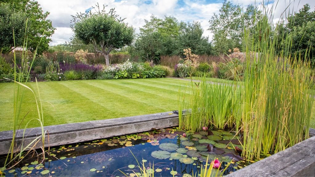 Pond Care