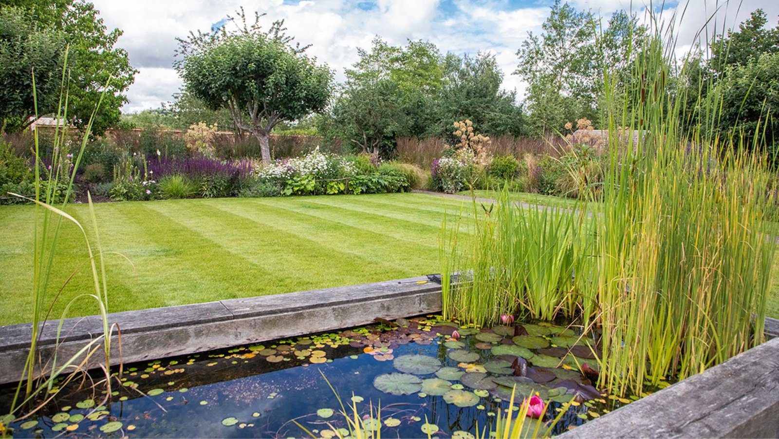 Pond Care