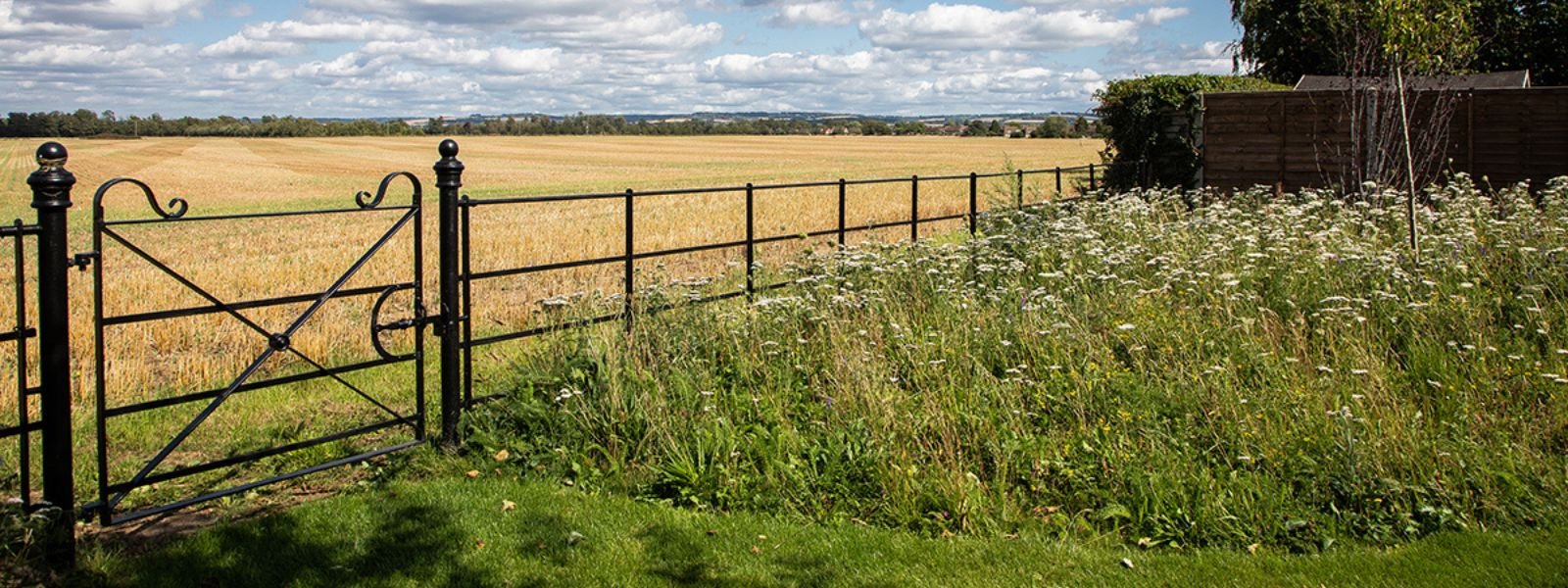 wildflower meadow seperated by a gate