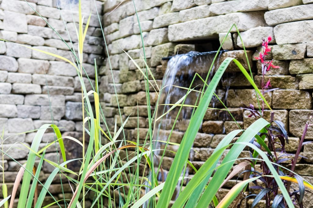 Close your eyes and listen to your garden. Consider adding more sounds that resonate with you to your garden re-design.