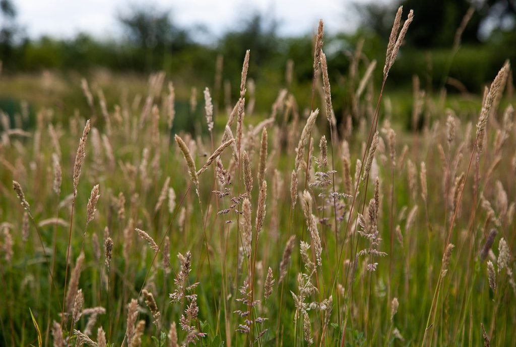 Touch the textures of your garden.
