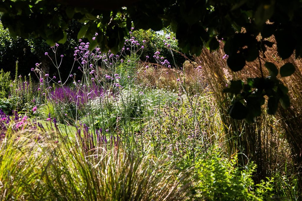 Let how you garden makes you feel inform your garden re-design elements