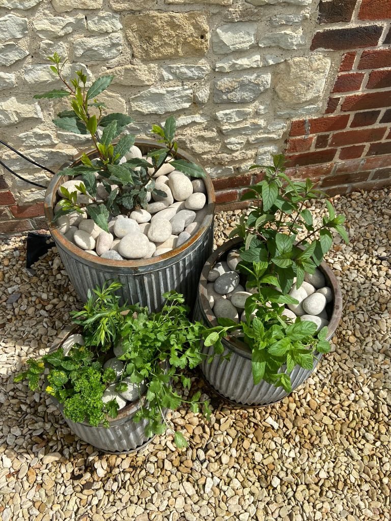 Incorporate the smells that delight in your garden re-design, like herbs and flowers