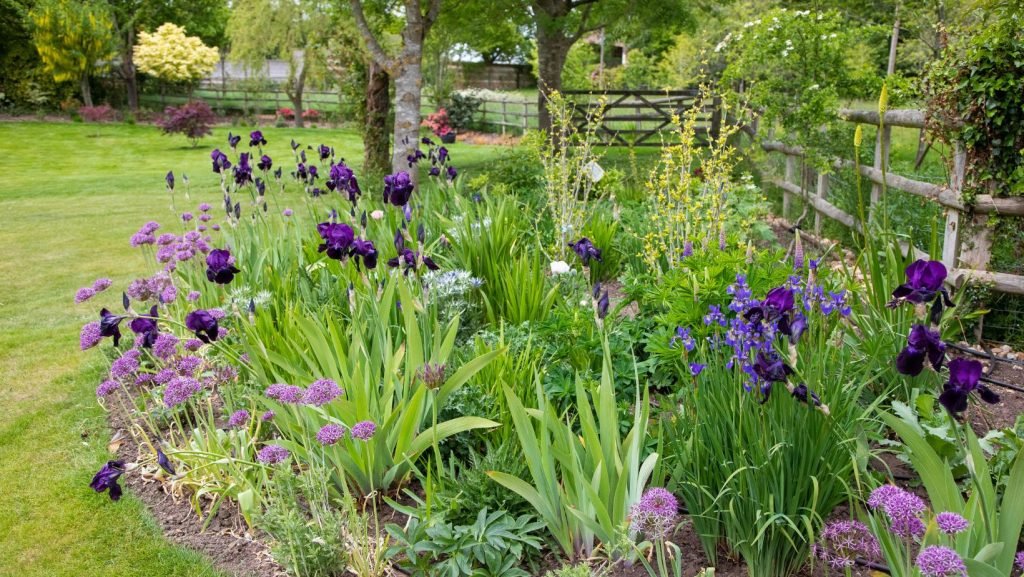 let the sights of your garden inform your garden re-design