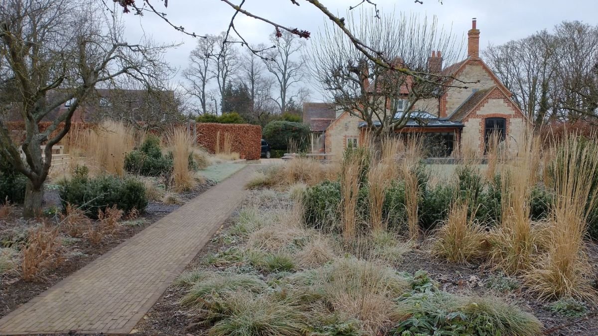 Image of Garden in the winter showing a path with planting to either side and a house and hedge in the background.