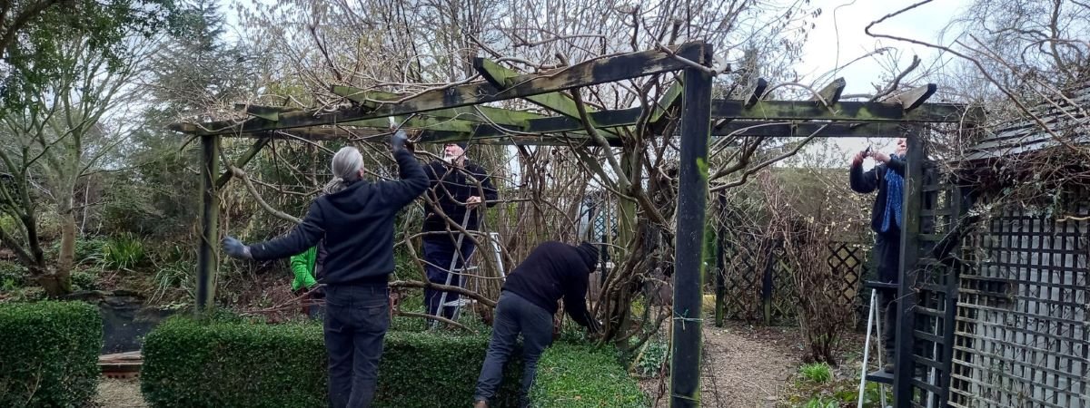 pruning winter garden