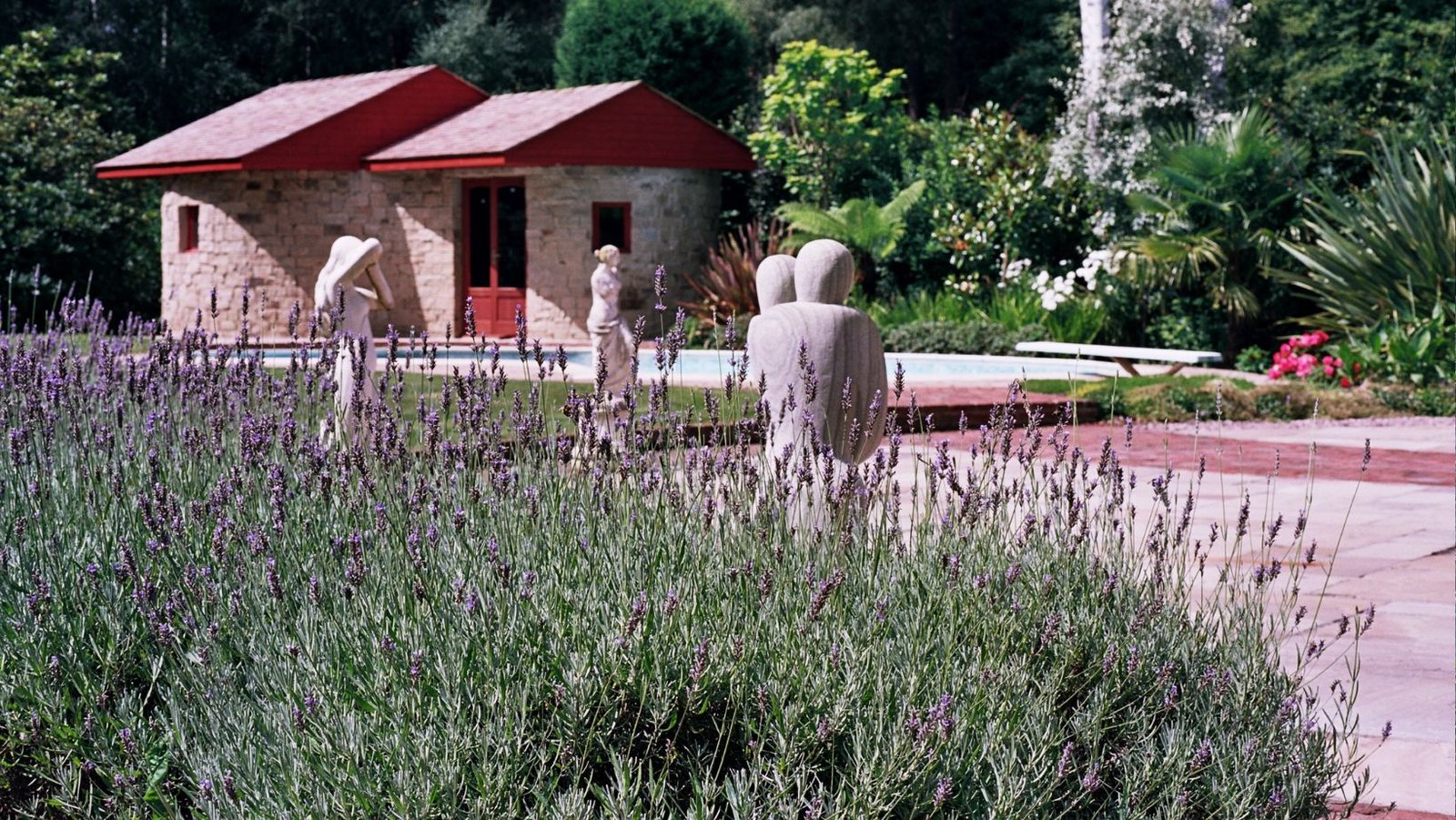 Water Resilience in the Garden