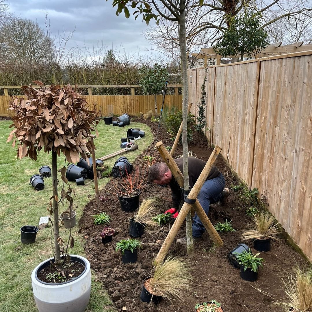 new border in a garden with work being done