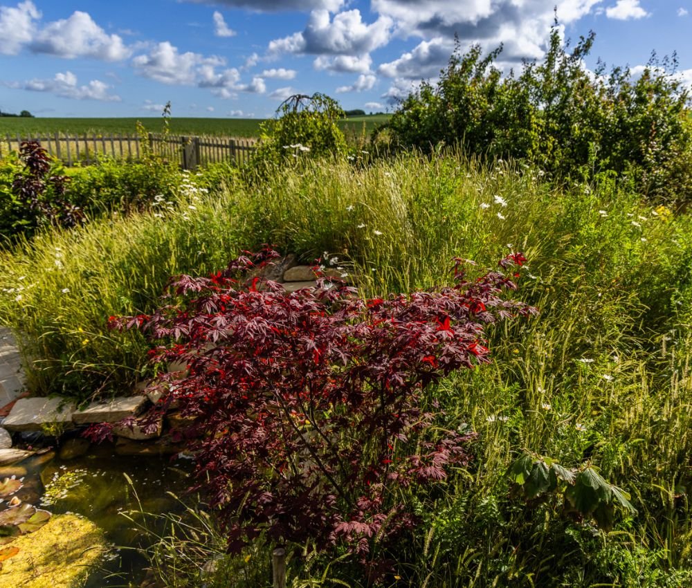 Cheeky Garden