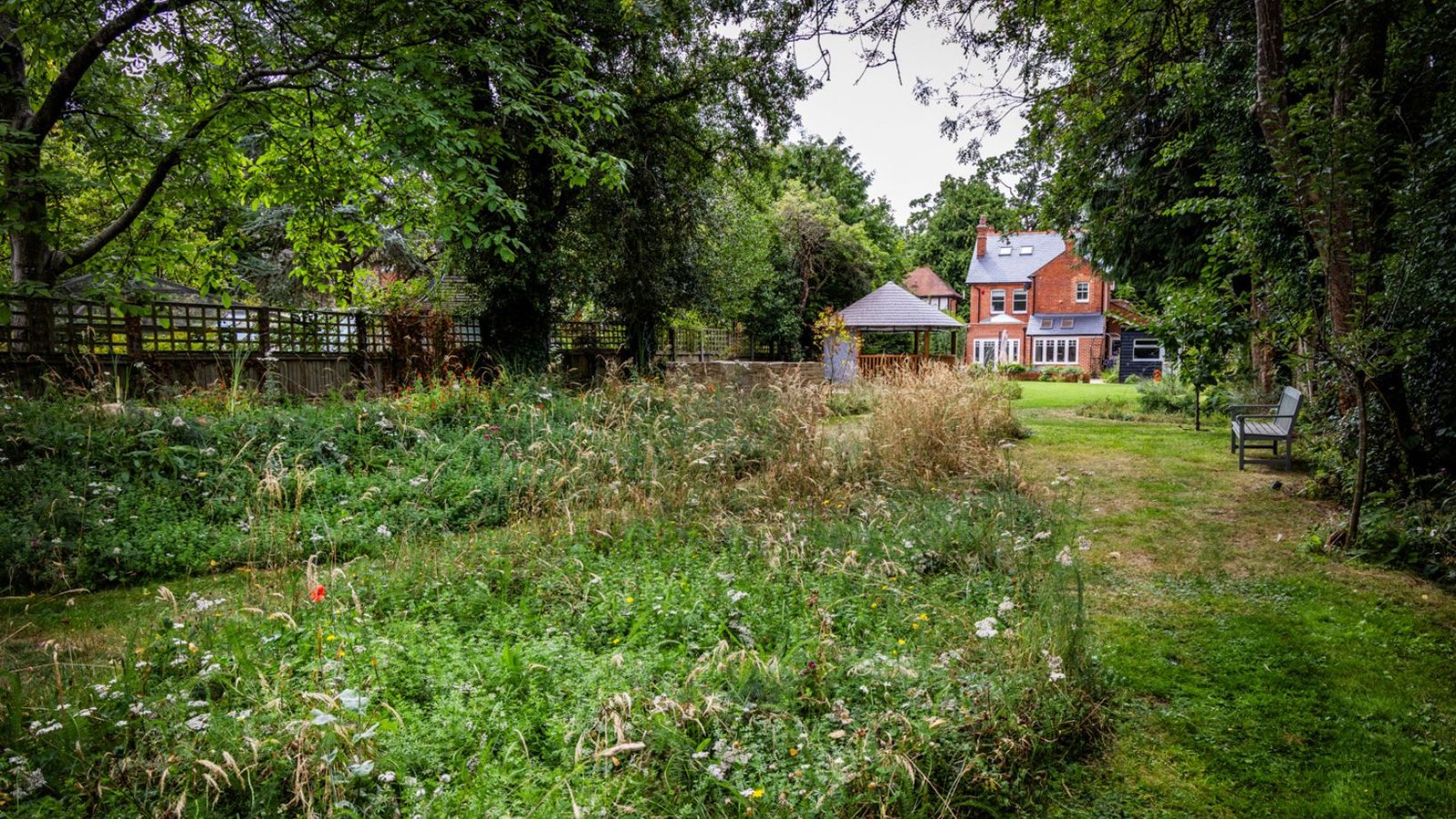 Image of garden filled with wildflower turf